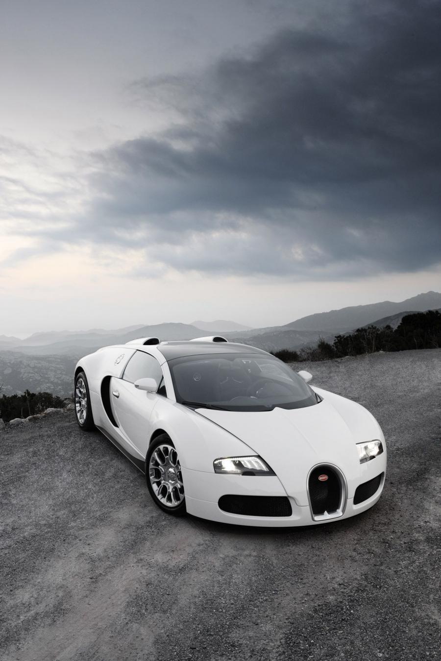  Bugatti Veyron 16.4 Grand Sport 2009 года  (фото 14 из 96)